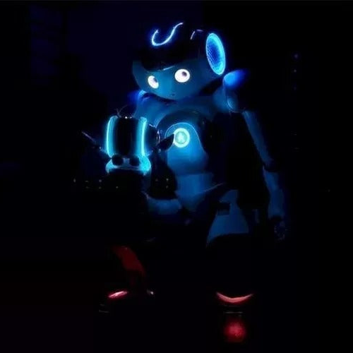 Advanced Humanoid AI Robot - Your Ultimate Tech Companion